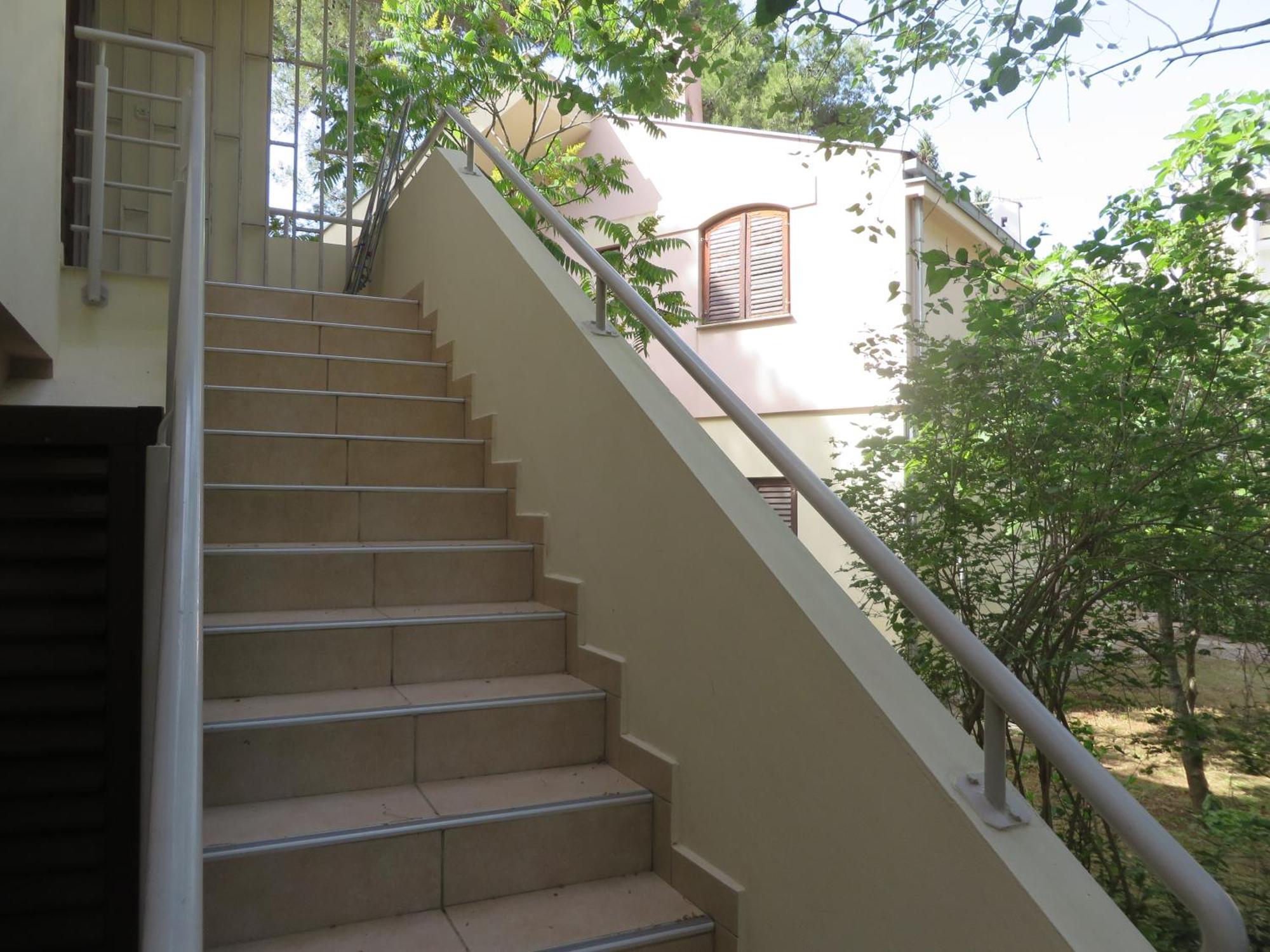Soline Beach Apartments Biograd Na Moru Værelse billede
